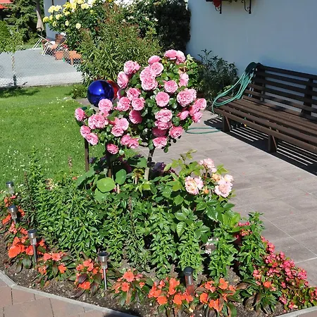 Gaestehaus Mayer אורחן 2*