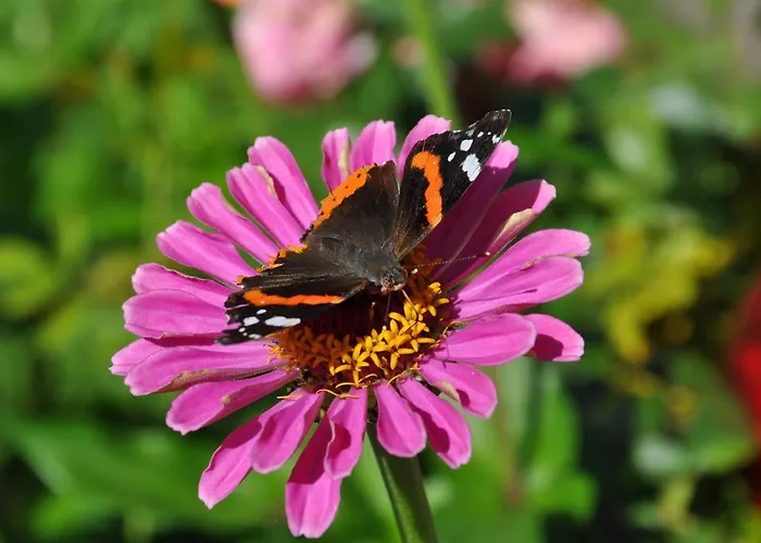 Gaestehaus Mayer ميمنغ